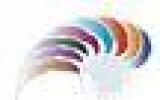 NZC online icon